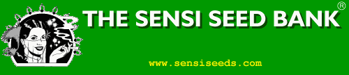 Sensi Seed Bank Sensi Seed
            Bank Sensi Seed Bank